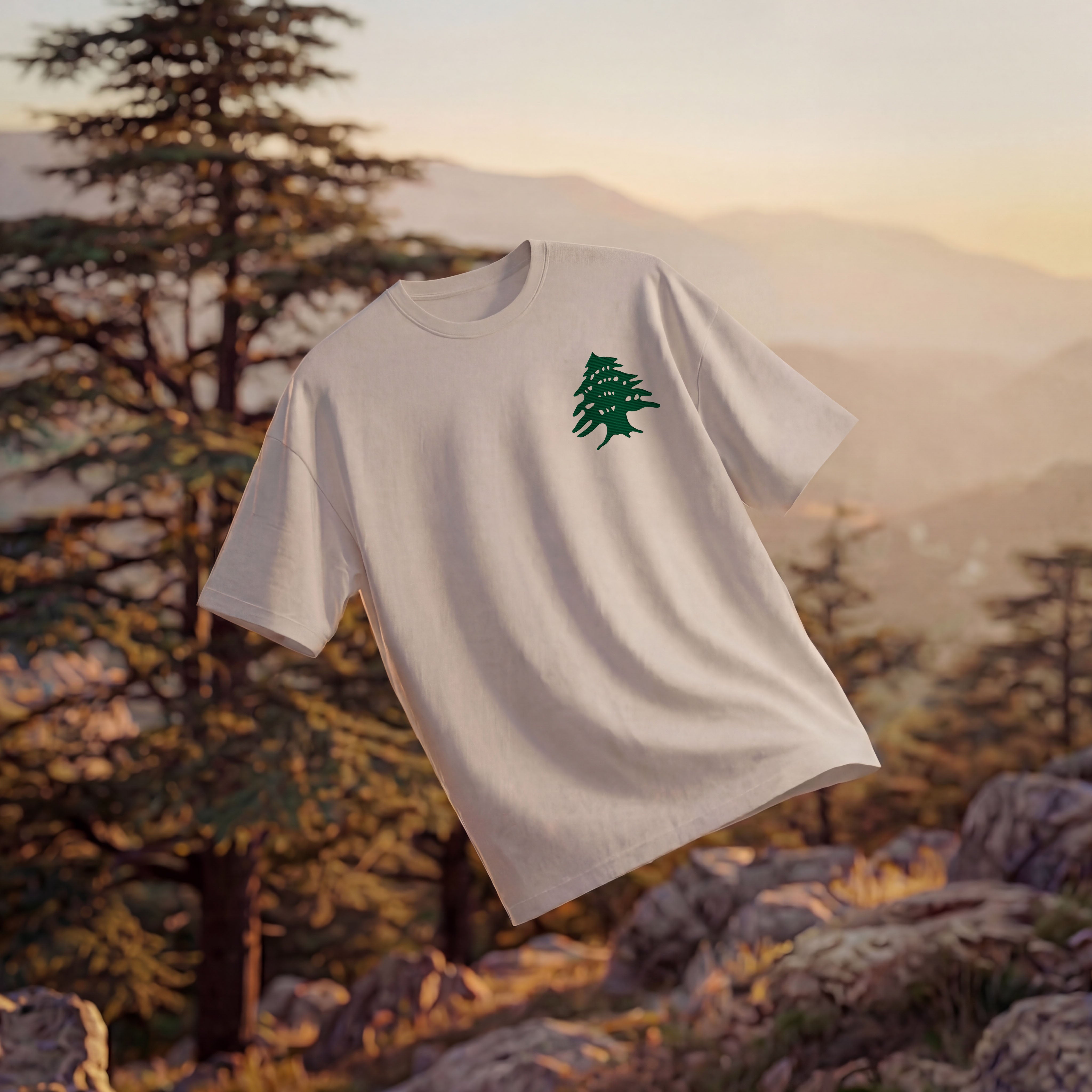 CEDAR OVERSIZED T-SHIRT