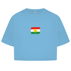 Kurdistan Basic