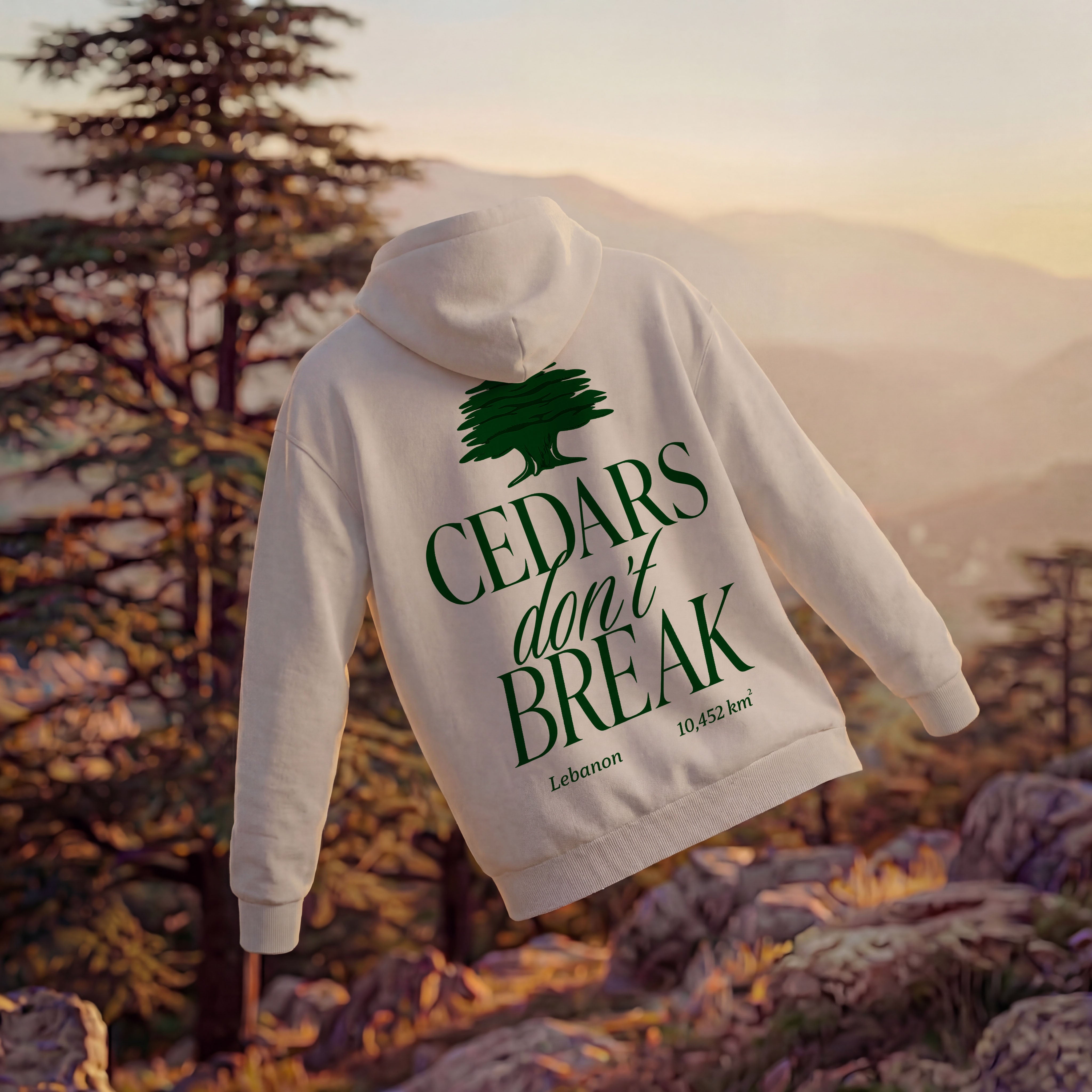 CEDAR OVERSIZED HOODIE