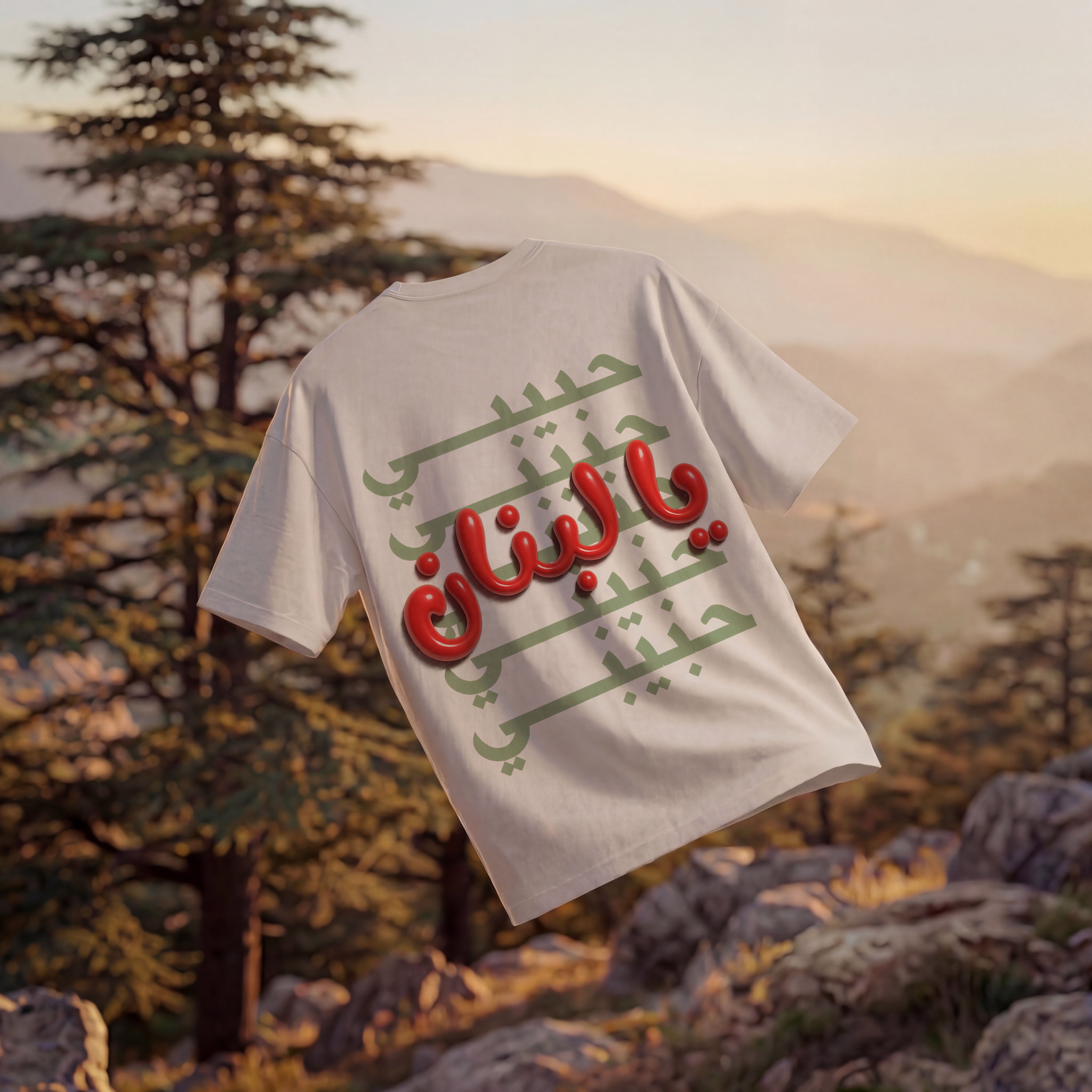 HABIBI YA LEBNAN OVERSIZED T-SHIRT