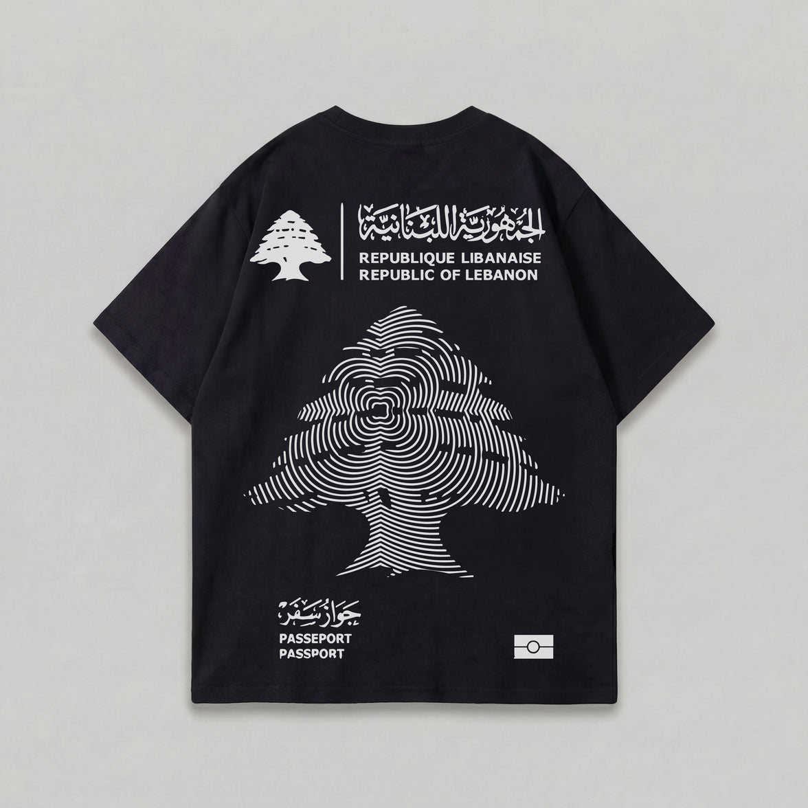 LIBAN PASSPORT 2 OVERSIZED T-SHIRT