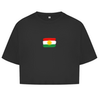 Kurdistan Basic