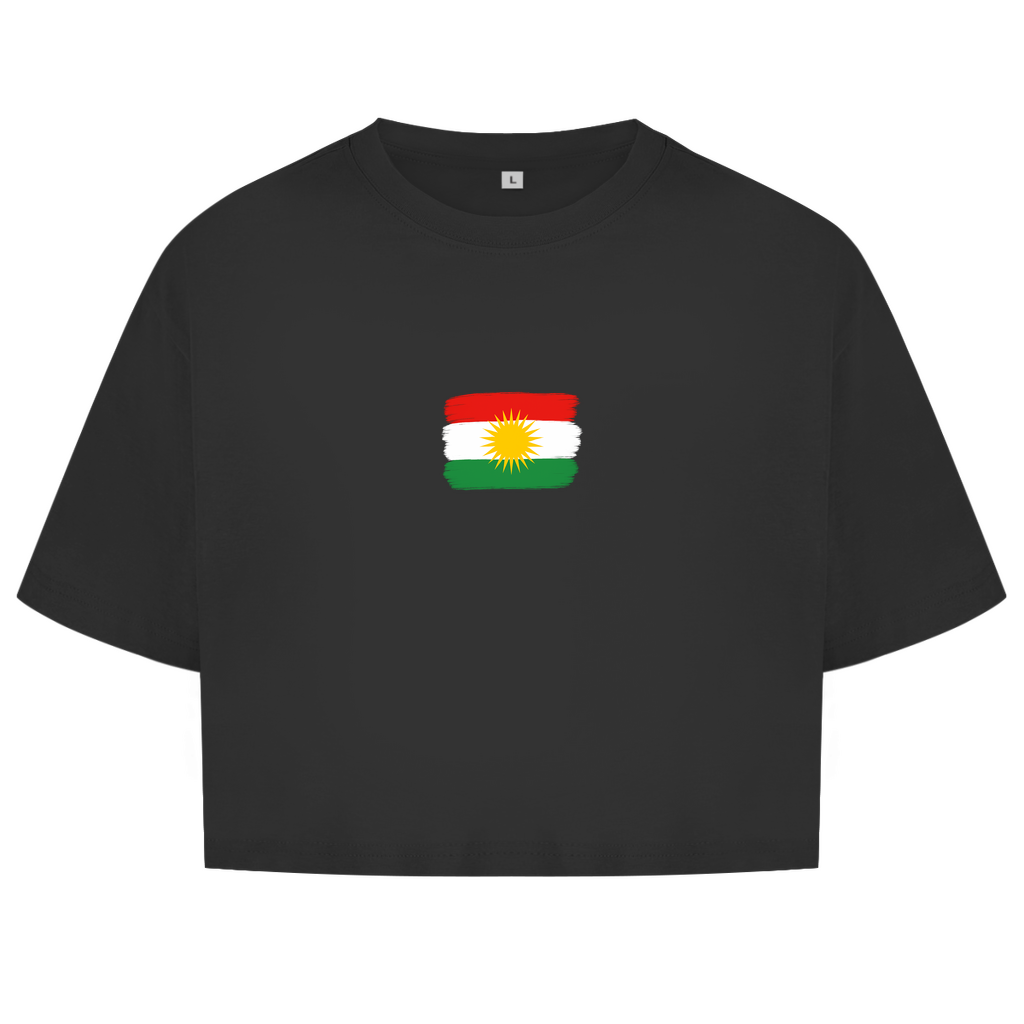 Kurdistan Basic